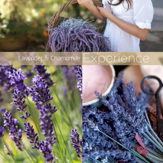 Cuccio Lavender & Chamomile Body Butter 8Oz