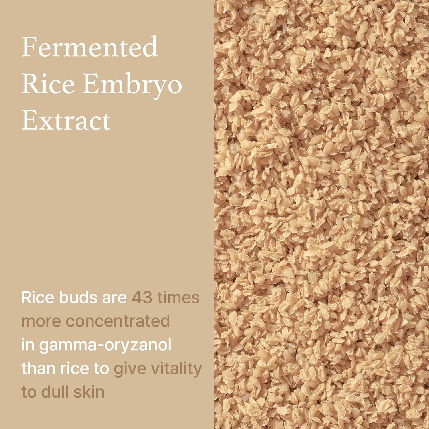 I'M From Rice Serum, 73% Fermented Rice Embryo Extract | Improve Hyperpigmentation, Boost Collagen, Vitality, Supply Nutrients To Skin With Vitamin B, Healthy Glow