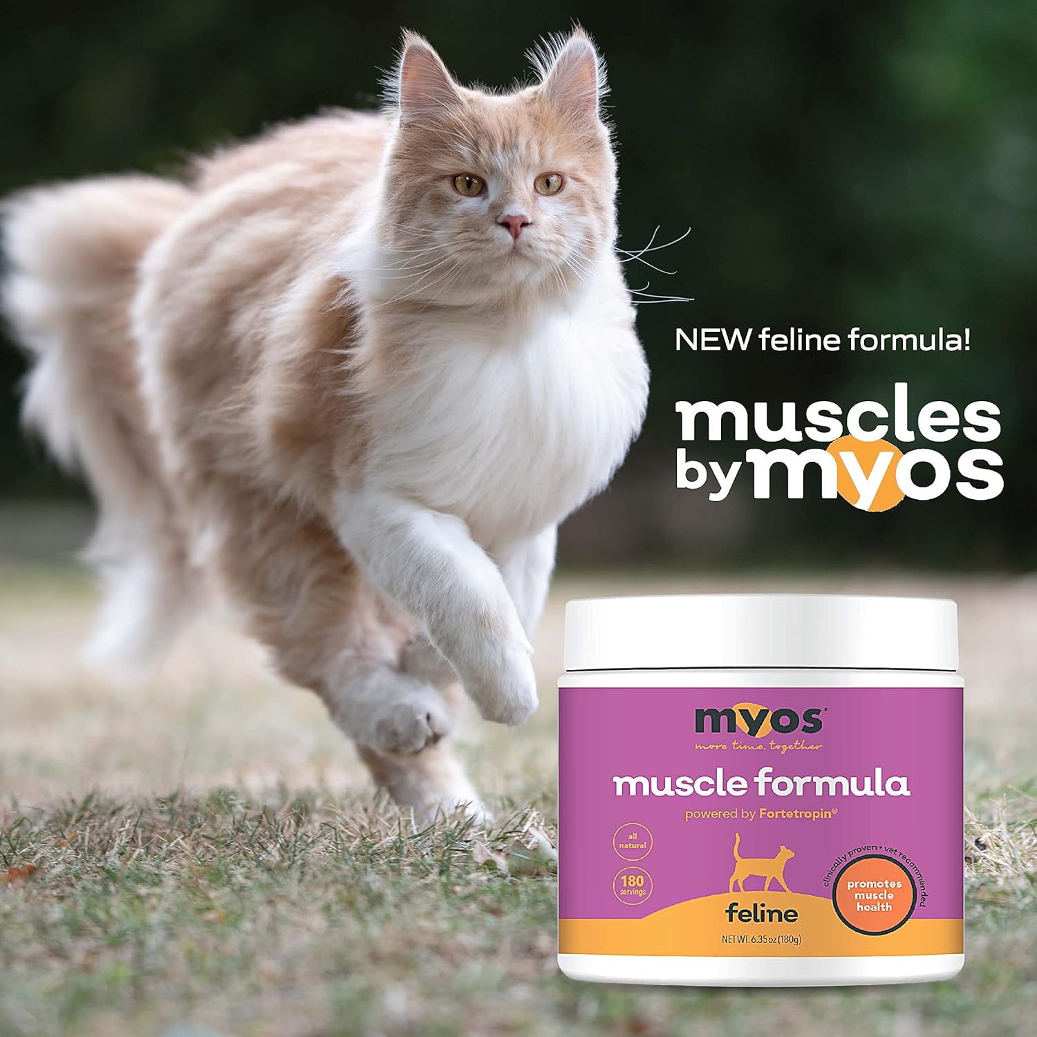 MYOS Feline Muscle Formula - Powered by Fortetropin for Senior Cats - Aids Weight Gain, Muscle Growth & Mobility Support - Natural, Cat Nutritional Supplement - 180 Servings : Pet Supplies