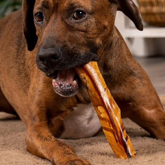 Pet Factory 100% Made In Usa Beefhide 8" Rolls Dog Chew Treats - Peanut Butter Flavor, 15 Count/1 Pack