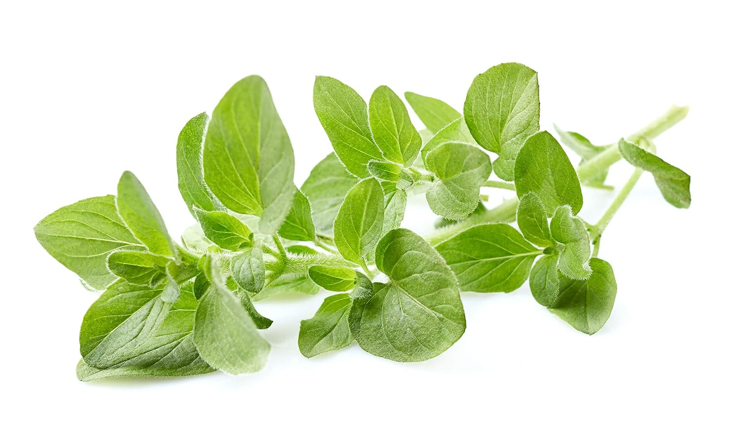 Us Organic Citronella Essential Oil, Usda Certified, 100% Pure, 15 Ml, Improved Caps And Droppers – Used For Skin Care, Many Diy Projects Like Candle Making And Much More : Beauty & Personal Care