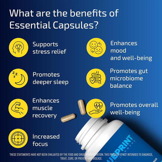 Blueprint Bryan Johnson Essential Capsules - Daily Multivitamin/Multimineral For Women And Men - Antioxidant Supplement With Calcium, Vitamin B1, Vitamin D, And Zinc - Vegan And Non Gmo (30 Servings)