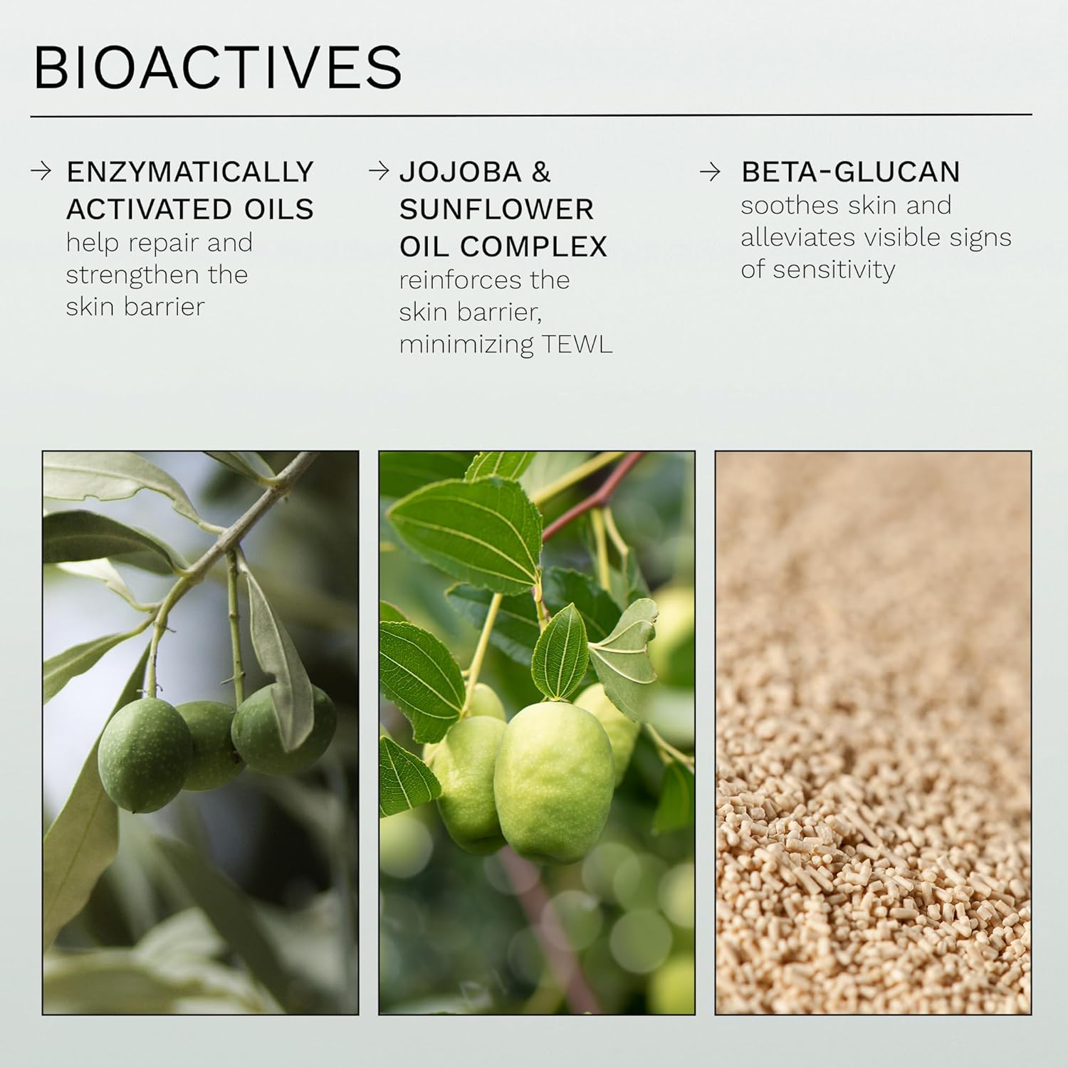 Ren Clean Skincare Nighttime Facial Moisturizer - Evercalm Overnight Recovery Balm For Face And Body Provides Skin Barrier Protection To Repair Rosacea, Redness And Irritation For Sensitive Skin : Beauty & Personal Care