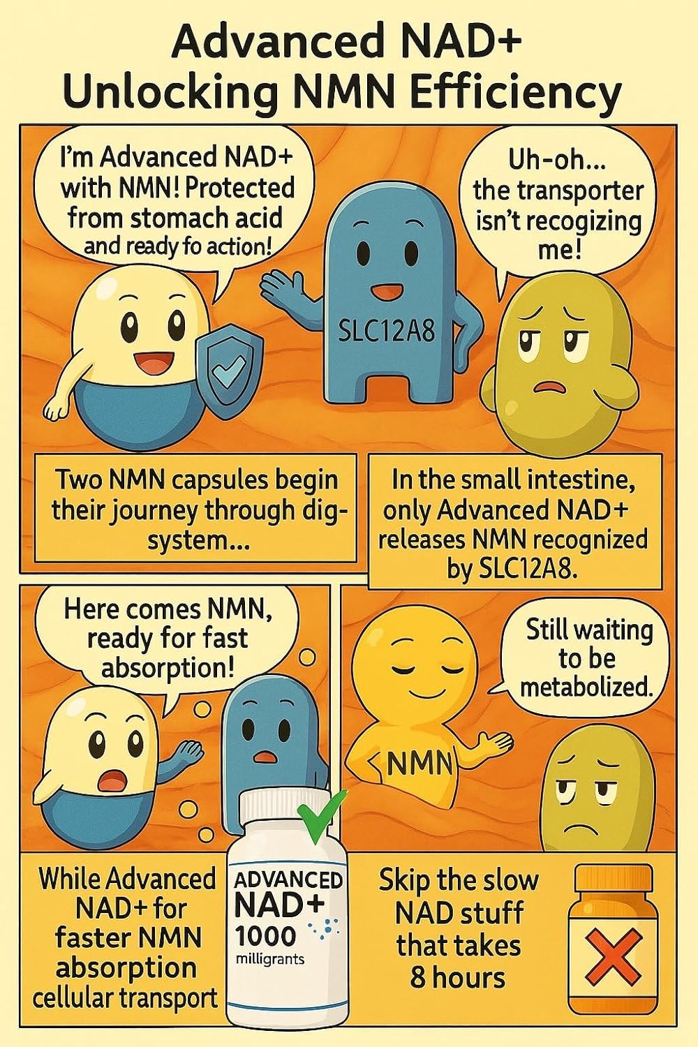Buy Revgenetics Nad Supplement Nad-1000 60 Capsules - Dietary Supplement For Healthy Aging And Vitality - Better Than Regular Nr And Nmn, As Product Uses Stomach Acid Protected Capsules & Absorbed Faster On  Free Shipping On Qualified Orders