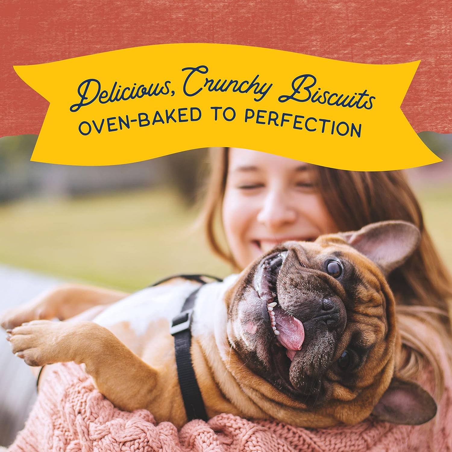 Natural Balance Limited Ingredient Rewards Crunchy Biscuits, Grain-Free Dog Treats for Adult Dogs of All Breeds, Salmon Recipe, 14 Ounce (Pack of 1) : Pet Supplies