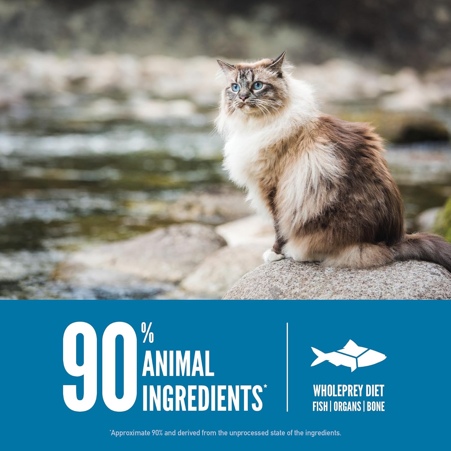 ORIJEN® Dry Cat Food, Grain Free, Premium, High Protein, Fresh & Raw Animal Ingredients, Six Fish, 12lb : Everything Else