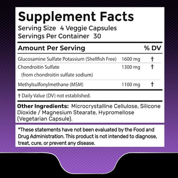 Glucosamine Chondroitin Msm - 4000Mg - 240 Count
