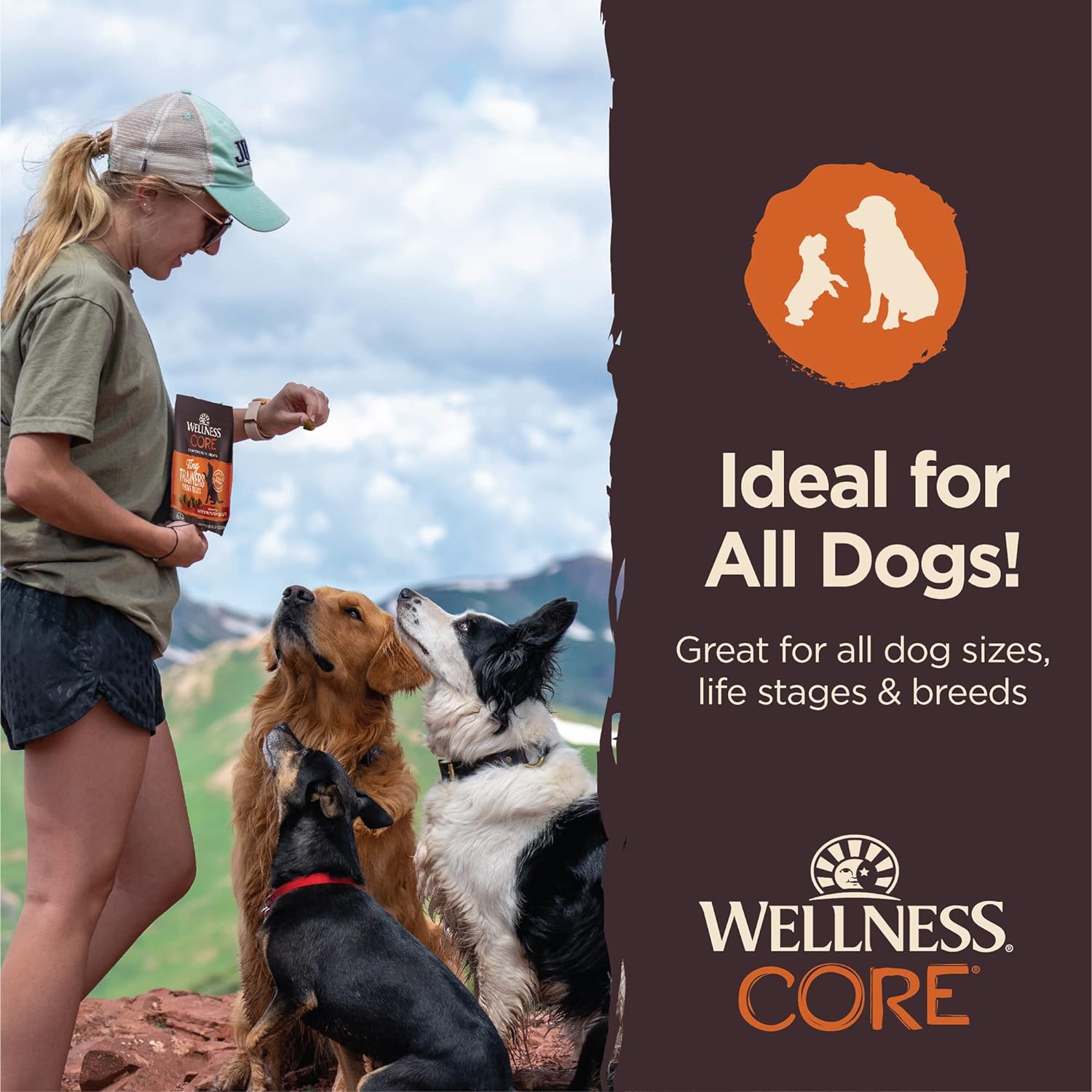 Wellness CORE Soft Tiny Trainers (Previously Petite Treats), Natural Grain-Free Dog Treats for Training, Made with Real Meat, No Artificial Flavors (Turkey & Pomegranate, 6 Ounce Bag) : Pet Supplies