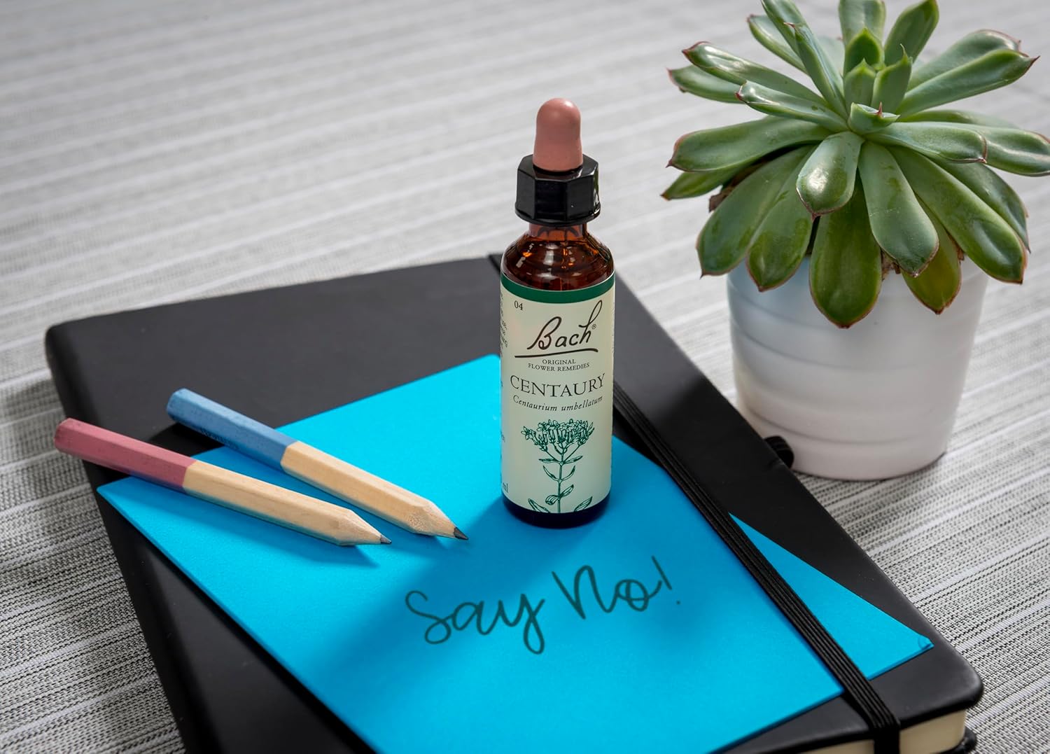 Bach Original Flower Remedies (Centaury) Stand Your Ground, Stay Assertive, Emotional Wellness, Natural Flower Essence, 20ml : Amazon.co.uk: Health & Personal Care