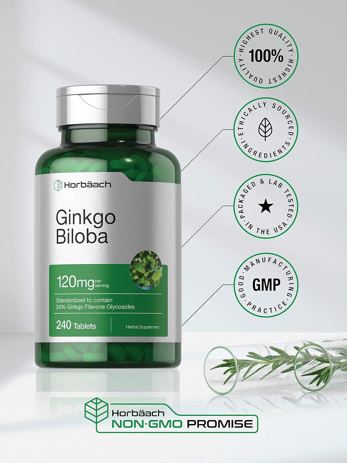 Horbäach Ginkgo Biloba 120mg | 240 Tablets | Gluten Free & Non-GMO Supplement : Health & Household