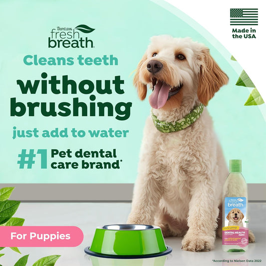 TropiClean Fresh Breath Puppy Teeth Cleaning – Puppy Dental Care for Bad Breath - Breath Freshener - Water Additive Mouthwash – Helps Remove Plaque Off Pups Teeth, For Puppies, 473ml?FBWA16Z-PP
