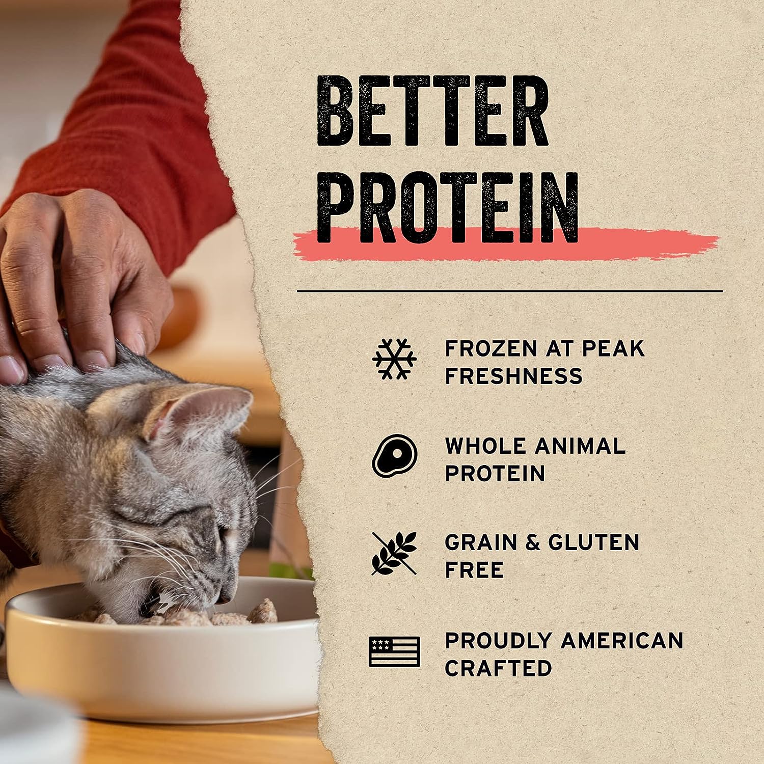 Vital Essentials Freeze Dried Raw Cat Treats, Minnows Treats, 0.5 oz