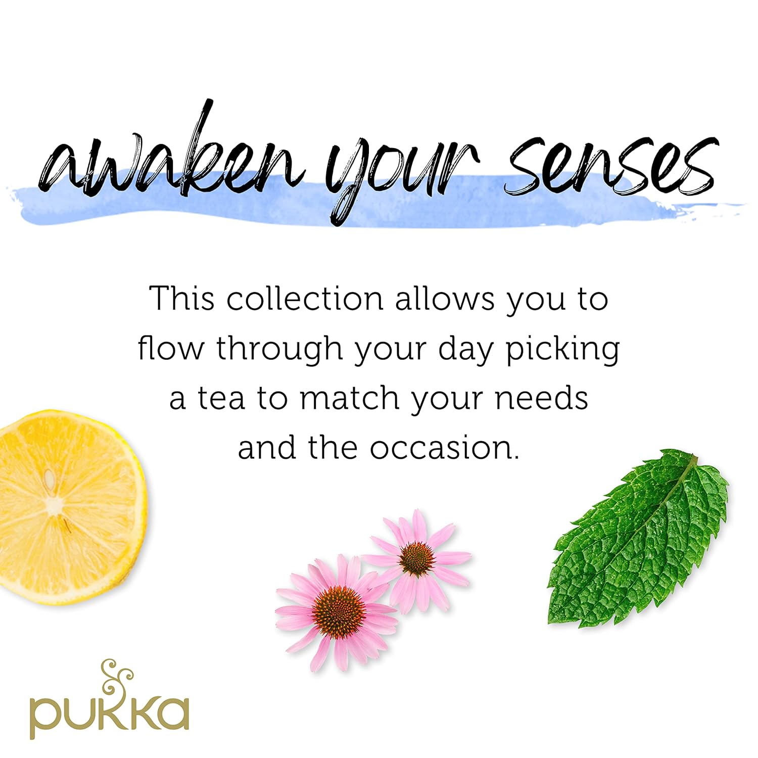 Pukka Herbal Tea Collection Pack 20 Sachets