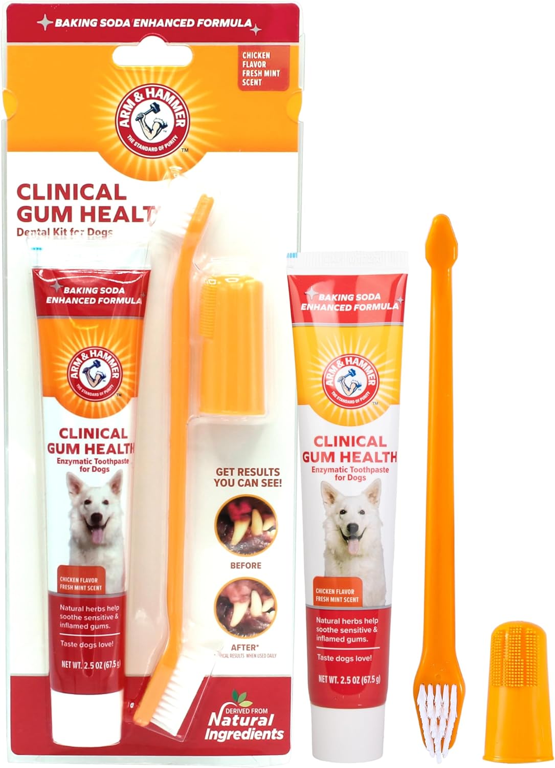 Arm & Hammer Tartar Control Dental Kit For Dogs, Banana Mint White