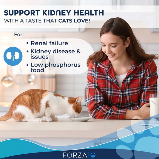 Forza10 Active Kidney Renal Diet Dry Cat Food For Adult Cats, Kidney Care Cat Food For Heart And Kidney Problems, Wild Caught Anchovy Flavor, 4 Pound Bag