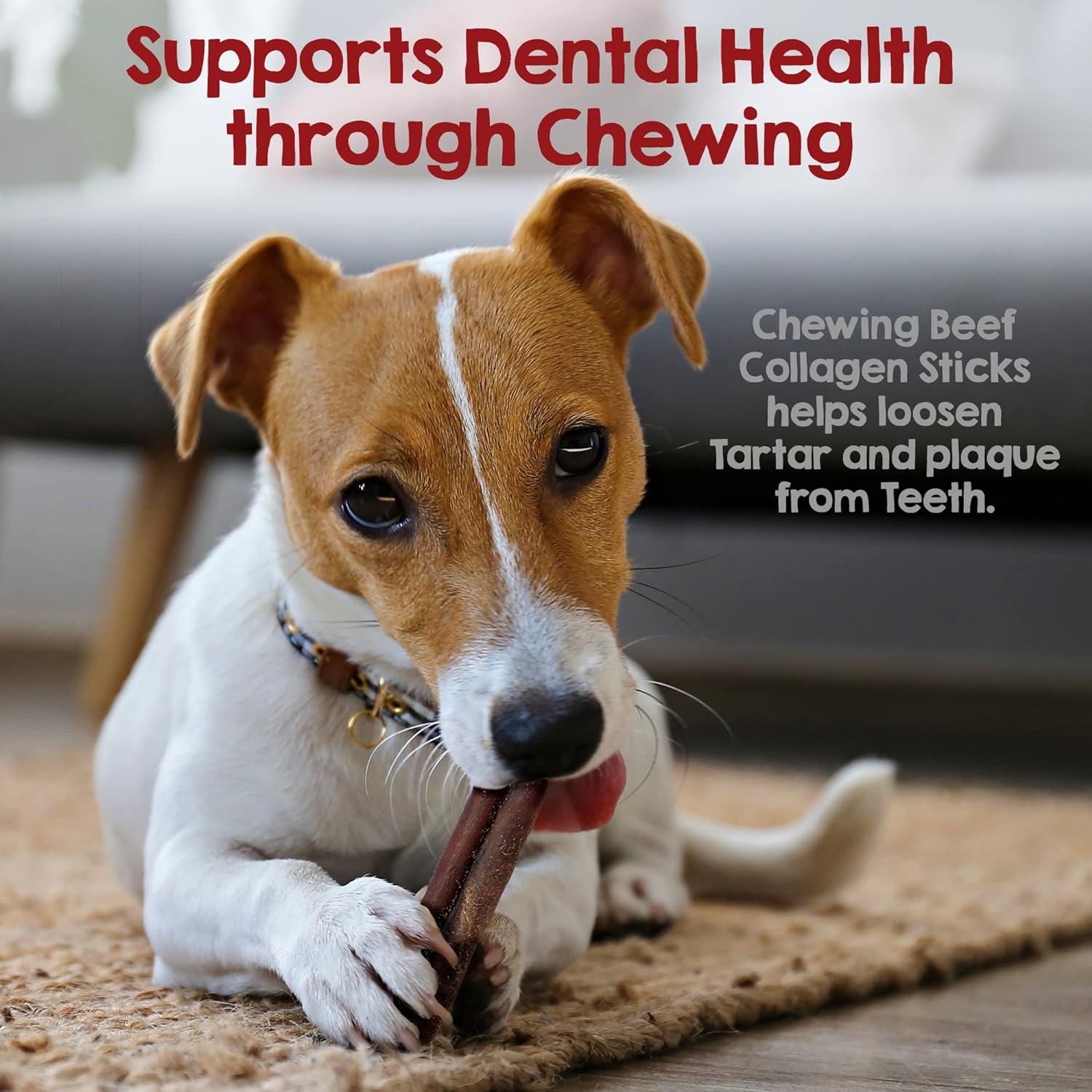 Riley's 12 Inch Beef Collagen Sticks for Dogs, Collagen Chews for Dogs, Bully Stick & Rawhide Alternative, Long Lasting, No Raw Hide Chews, Single Ingredient Dog Treat- 10 ct : Pet Supplies