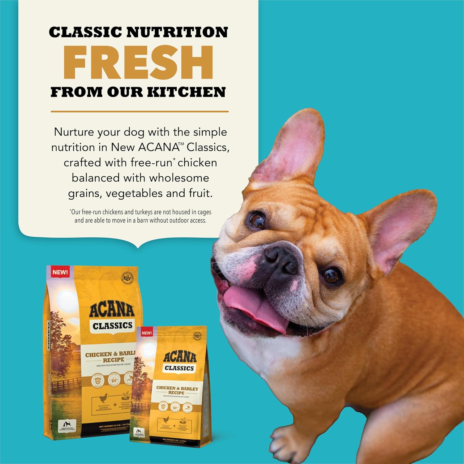 ACANA™ Classics Dry Dog Food Chicken & Barley Recipe Dry Dog Food, 4lb : Pet Supplies