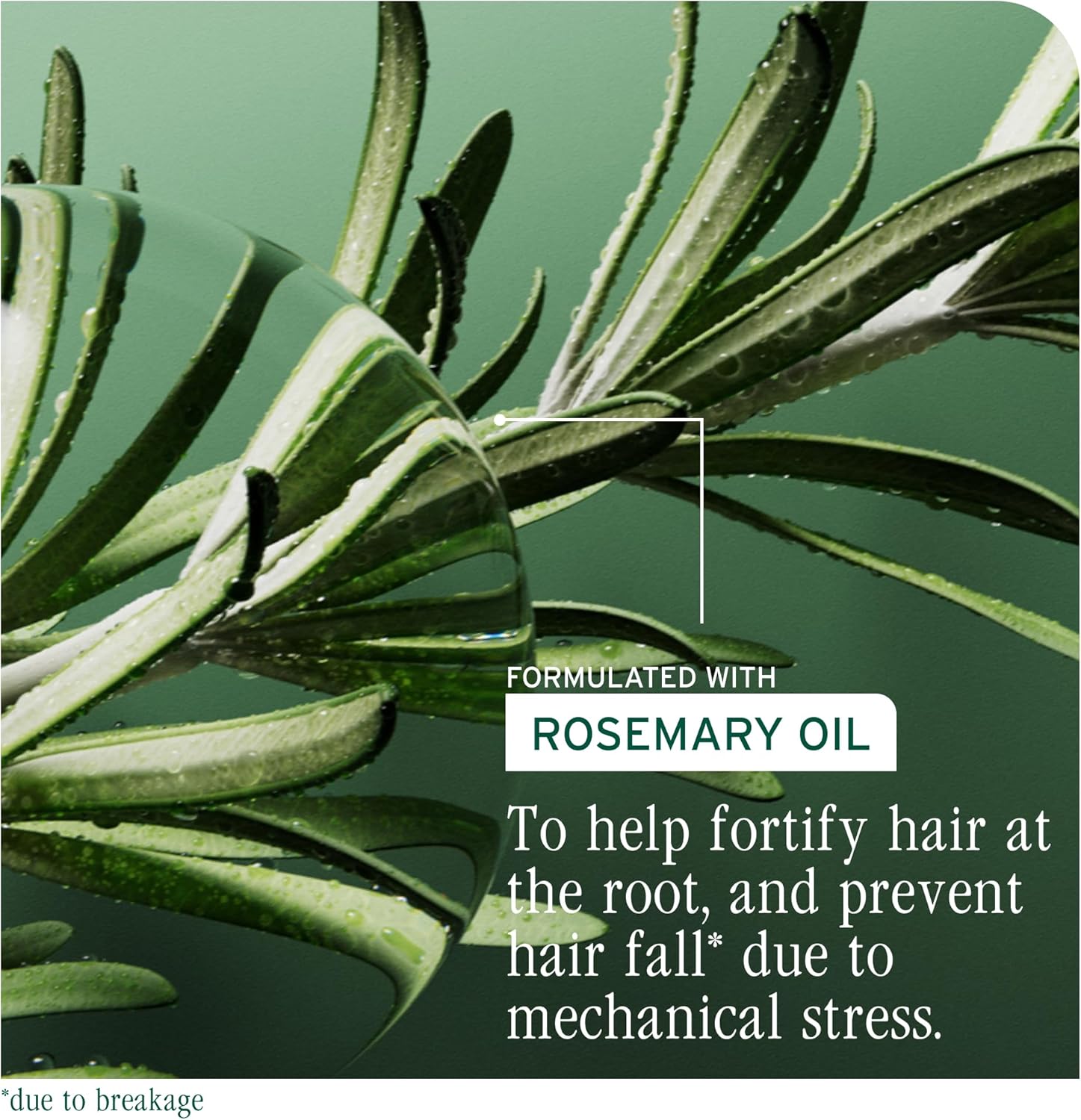Biolage Full Rescue Restorative Mask, Increases Resistance to Hair Fall, Enriched With Rosemary Oil & Niacinamide, For Breaking & Falling Hair, 500ml : Amazon.co.uk: Beauty