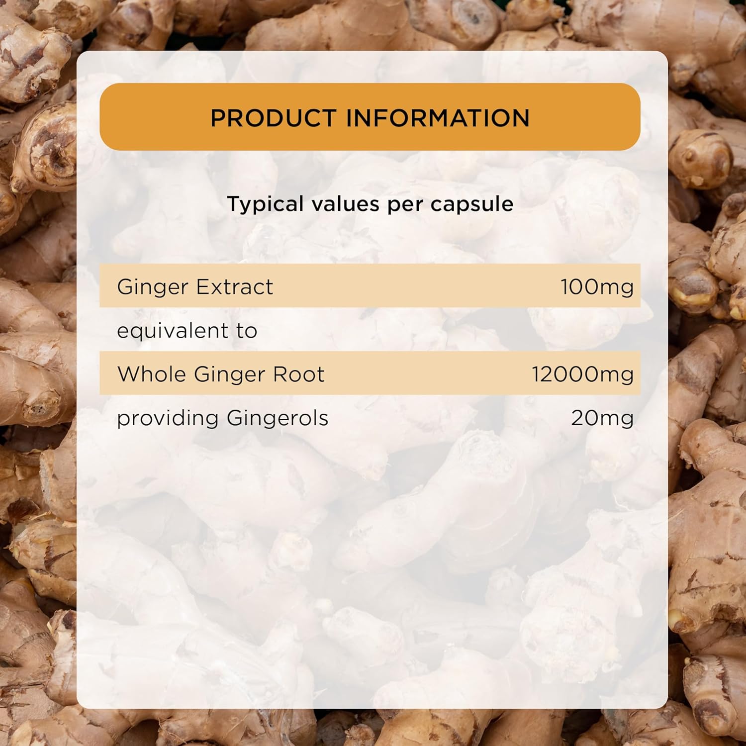Healthspan Ginger Extract 100mg (4 Months' Supply) | Support Your Digestive Health | Equivalent to 12,000mg of Whole Ginger Root | Providing 20mg Gingerols | Easy to Swallow Capsules | Vegan : Amazon.co.uk: Health & Personal Care
