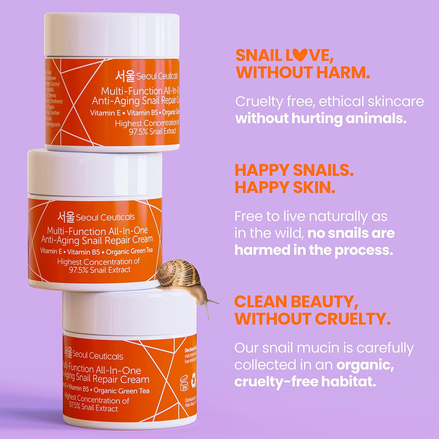 Seoulceuticals Korean Skin Care Set - Contains Snail Cream Moisturizer + Korean Jelly Mask - This Potent Korean Skincare Set Provides Healthy, Youthful & Glowing Skin : Beauty & Personal Care