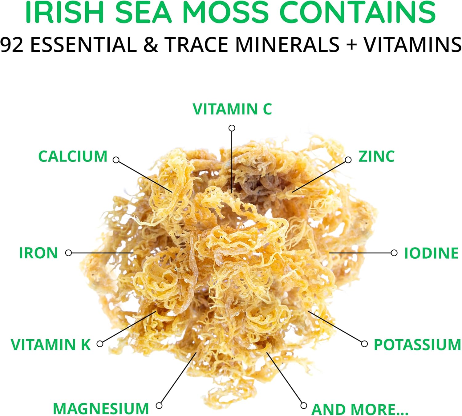 Happy Healthy Hippie Sea Moss Capsules 3,000 mg (1 Daily, 2 Mo Supply) - Irish Sea Moss Gel Capsules for Immunity & Energy Boost | Digestive Support, 60 Count : Health & Household