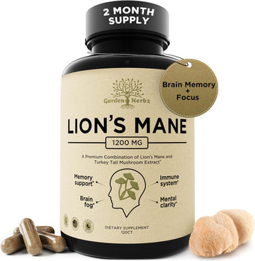Lions Mane Supplement Capsules With Turkey Tail – Nootropic Brain Fog, Focus, Memory, Nerve Function, & Immune Support Supplement – Non-Gmo 1200 Mg Lions Mane Mushroom Supplement, 120 Caps