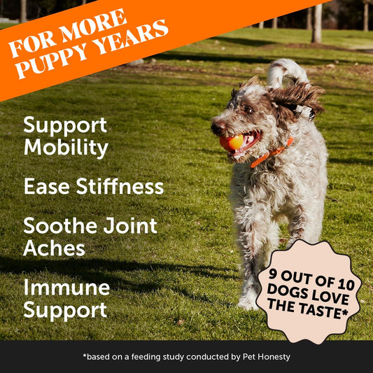 Pet Honesty Hip & Joint Turmeric Health - Joint Supplement For Dogs, Omega-3 Fish Oil, Turmeric Support Joint Health, Ease Stiffness - Advanced Pet Joint Support And Mobility - 90 Ct (Pumpkin)