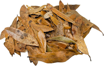 The Bio Dude Leaf Litter - Live Oak Litter - Great For Bioactive Terrariums, Vivariums And Fish