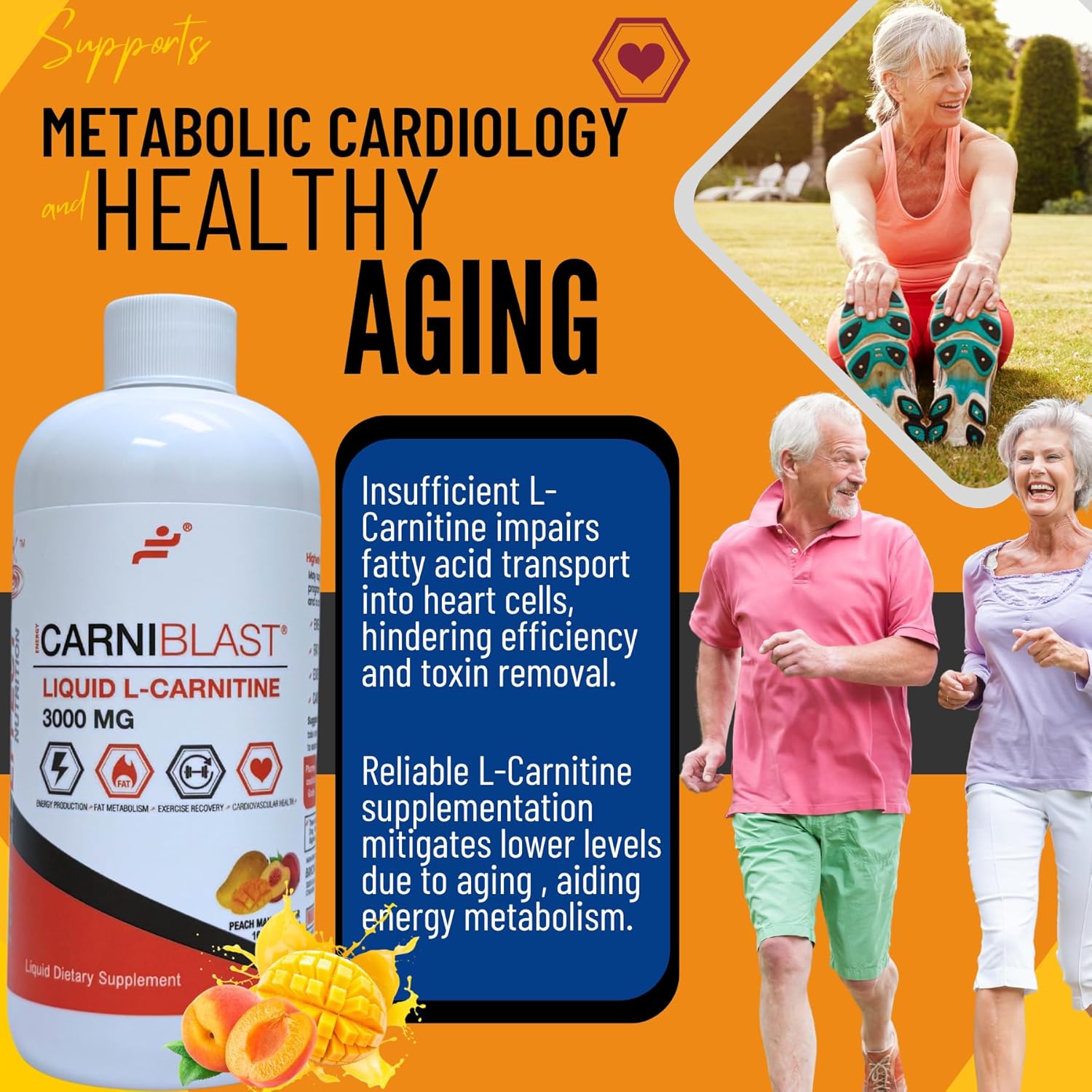 Bricker Labs Carniblast Liquid L-Carnitine 3000Mg, Premium L Carnitine Carnipure, Sports Nutrition, Energy Supplement And Energy Booster, Peach Mango 16 Fl Oz : Health & Household