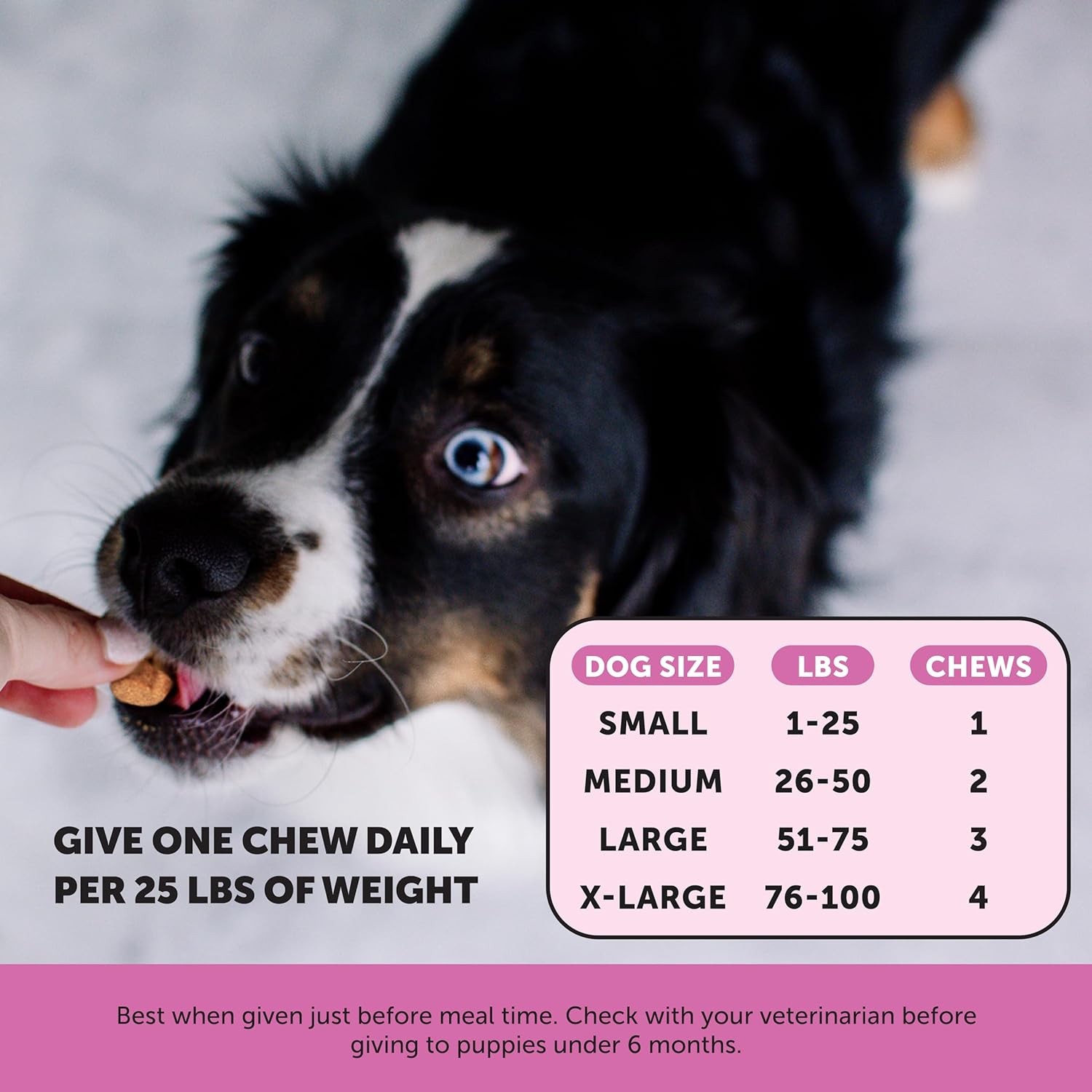 Pet Honesty Multivitamin Dog Supplement, Glucosamine chondroitin for Dogs, Probiotics, Omega Fish Oil, Dog Supplements & Vitamins, Dog Vitamins for Skin and Coat Allergies, (Chicken 90 ct) : Pet Supplies