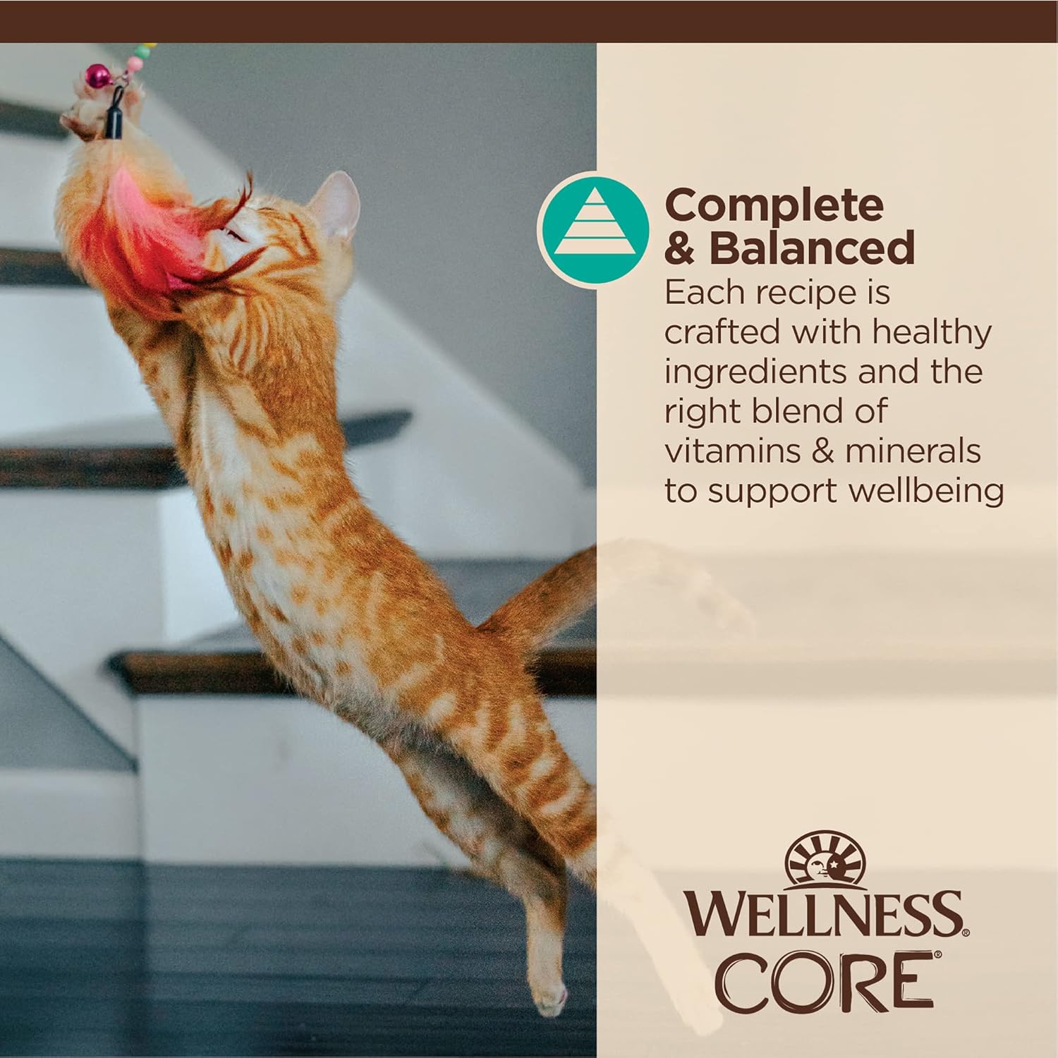 Wellness CORE Tiny Tasters Wet Cat Food, Complete & Balanced Natural Pet Food, Made with Real Meat, 1.75-Ounce Pouch, 12 Pack (Adult Cat, Flaked Tuna & Salmon in Gravy) : Grocery & Gourmet Food