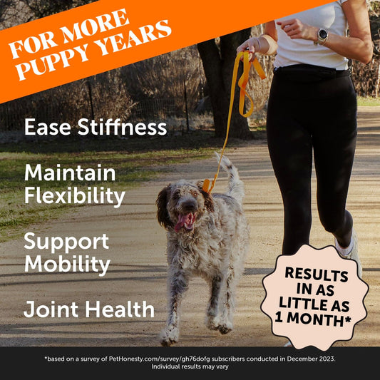 Pet Honesty Hip & Joint Health - Glucosamine For Dogs Soft Chews, Joint Supplement For Dogs With Glucosamine Chondroitin, Msm, Turmeric, Anti Inflammatory For Dogs, Support + Mobility (Chicken 90Ct)