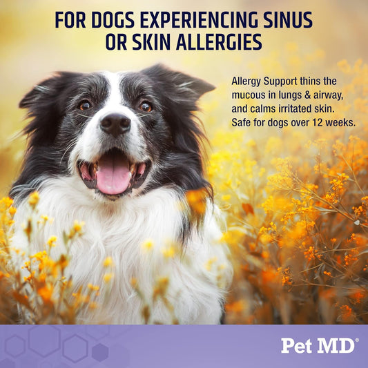 Pet Md Allergy Aid - Puppy & Dog Allergy Chews With Quercetin & Pumpkin - Immune & Seasonal Allergy Relief For Dogs - Skin & Itch Relief For Dogs - 60 Ct