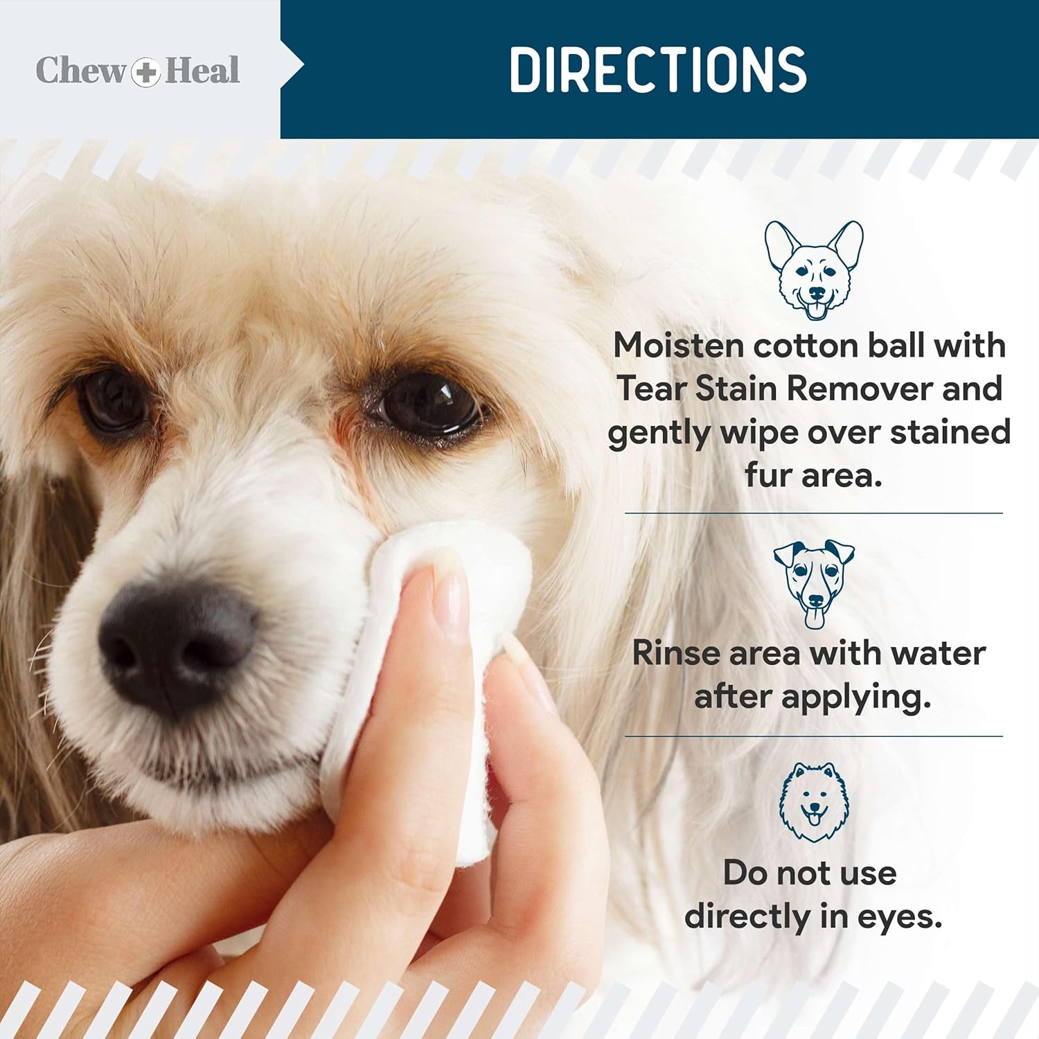 Tear Stain Remover for Dogs - 4 oz Solution - Dissolves Eye Buildup and Gunk, Reduces Staining - Water Based with Aloe Vera and Cucumber Extract - Chew + Heal : Pet Supplies