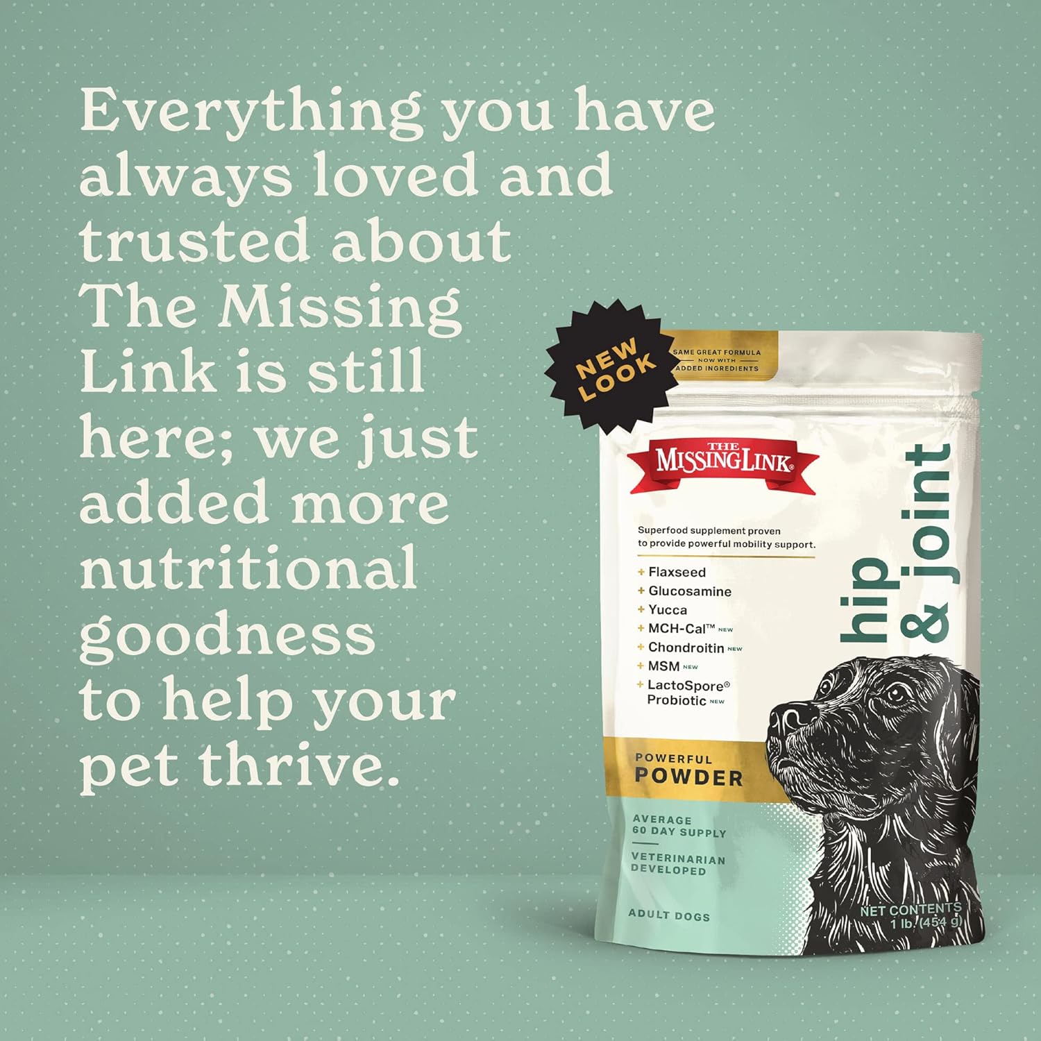 The Missing Link Hip & Joint Probiotics Superfood Supplement Powder for Dogs - Omegas 3&6, Fiber, Glucosamine, Chondroitin, MSM, HA - Cartilage & Bone Health, Joint Mobility & Flexibility - 1lb : Pet Supplements And Vitamins : Pet Supplies