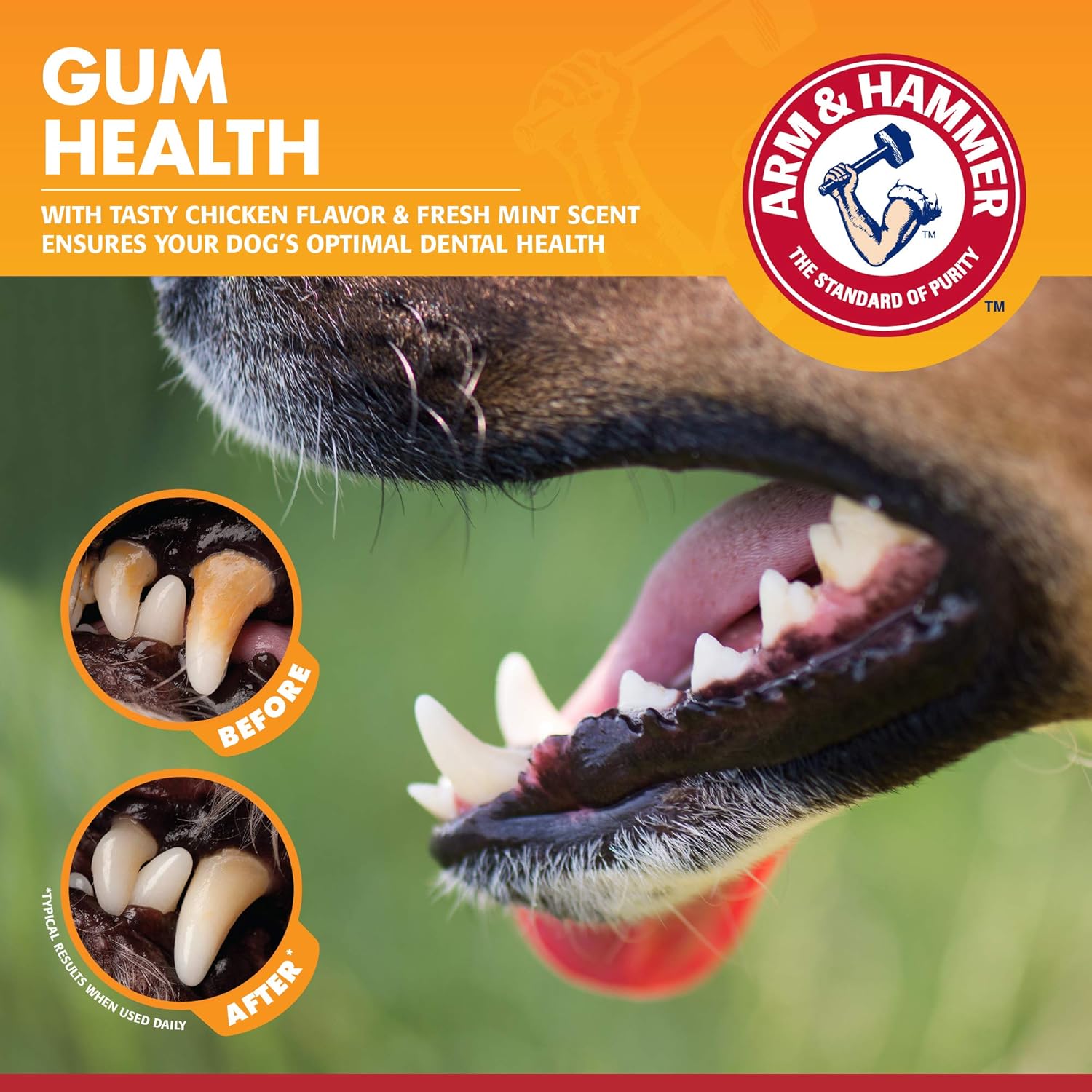 Arm & Hammer Tartar Control Dental Kit For Dogs, Banana Mint White