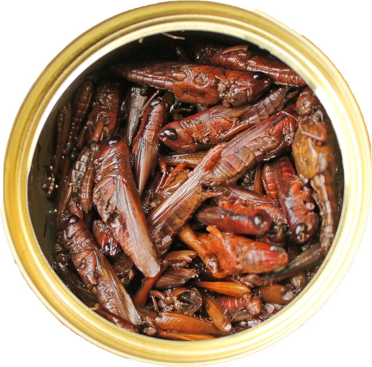 Canned Grasshoppers (1.2 Oz. 6 Pack) - Healthy High Protein Insect Treat - Hedgehogs, Sugar Gliders, Reptiles, Wild Birds, Chickens, Lizards, Bearded Dragons, Skunks, Opossums, Fish, Amphibians