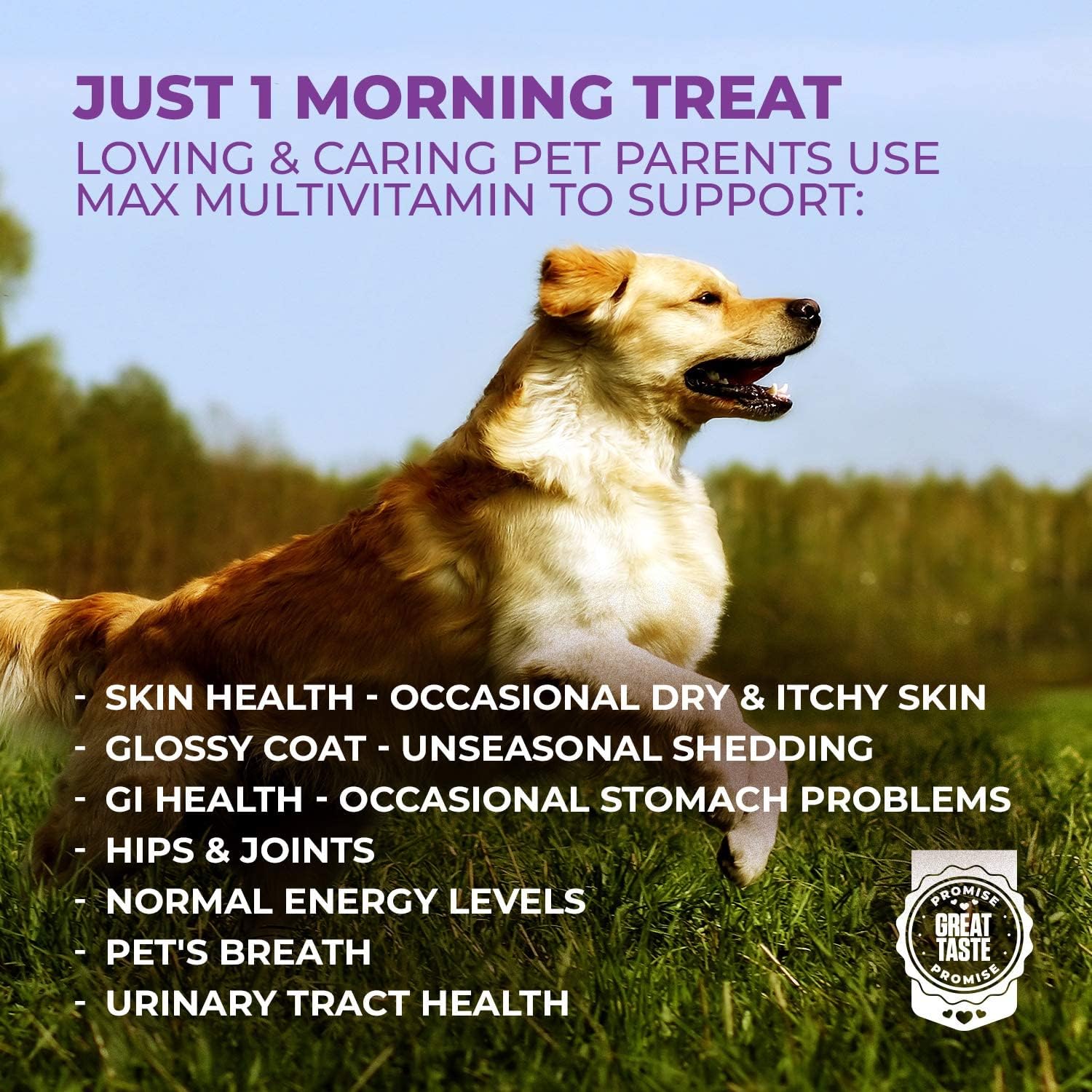 Mighty Petz MAX Dog Multivitamin - Senior & Adult Dog Vitamins 10 in 1 Complete Support for Joints, Immunity, Mobility, Gut, Energy, Skin Health. Daily Pet Chewable Supplement : Pet Supplies