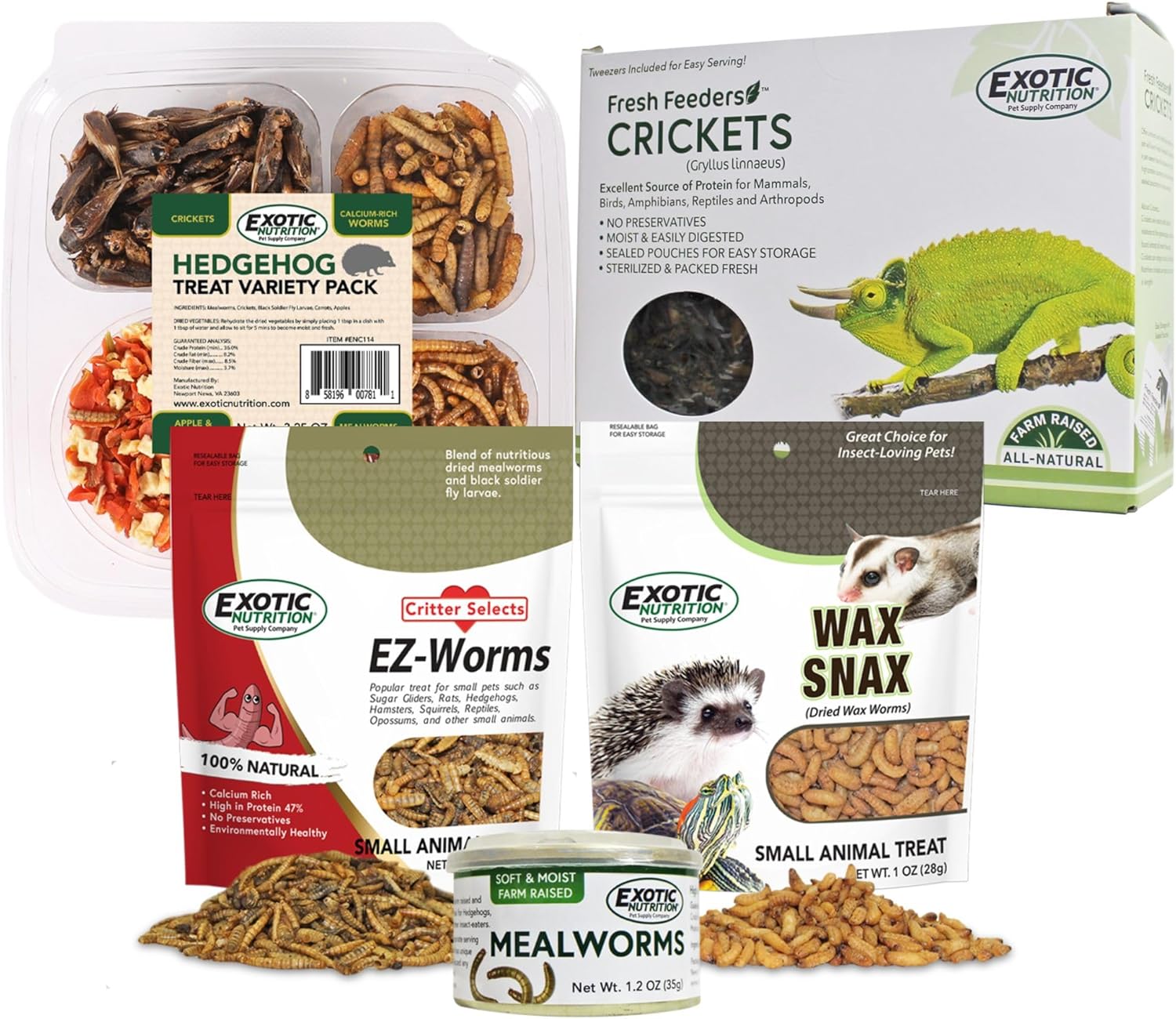Exotic Nutrition Hedgehog Treat Sampler - Healthy Natural Treat Variety Pack - High Protein Insect Variety Pack For Pet Hedgehogs