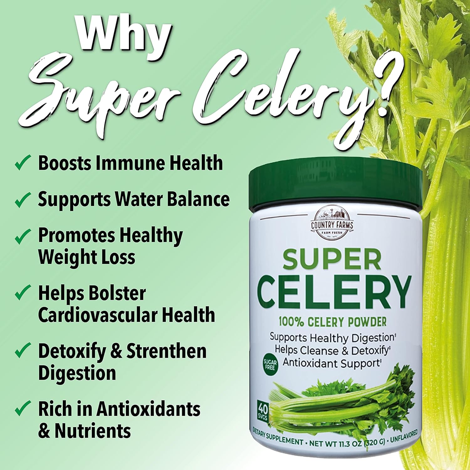 COUNTRY FARMS Super Celery Powder, 100% Celery Powder, Supports Healthy Digestion, Helps Cleanse & Detoxify, Antioxidant Support, 40 Servings, 11.3 Ounce (Pack of 1) : Health & Household
