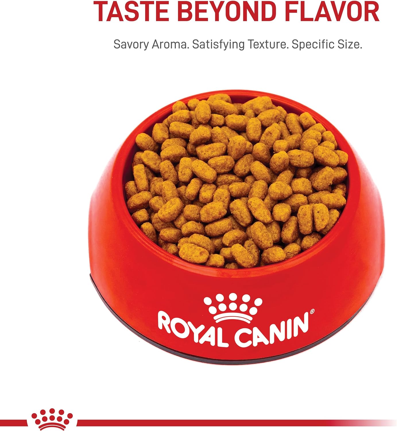 Royal Canin Maltese Adult Dry Dog Food, 2.5 lb bag : Pet Supplies