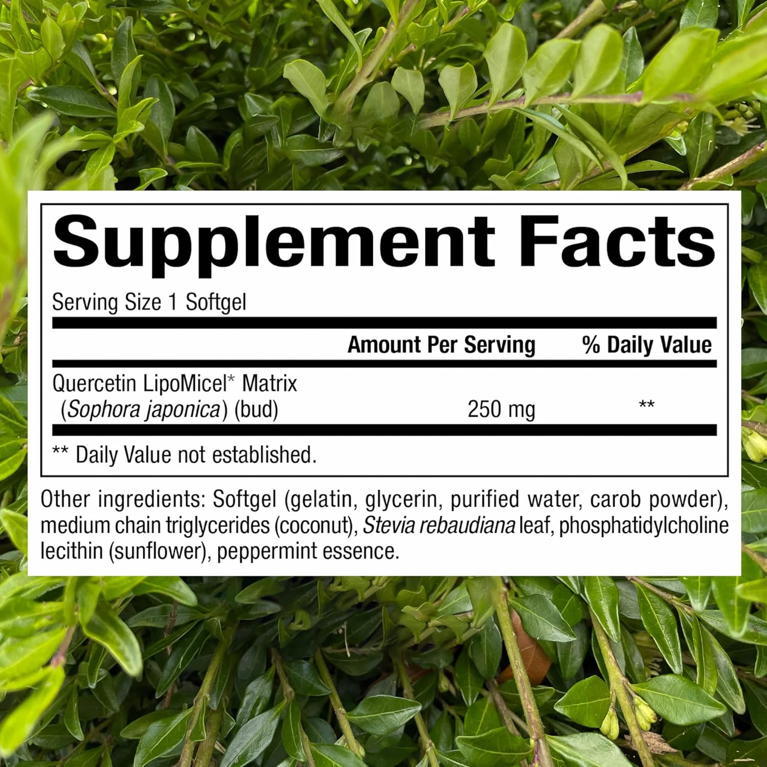 Natural Factors, Quercetin LipoMicel Matrix for Superior Absorption, 120 Liq Softgels, 120 Softgels