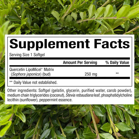 Natural Factors, Quercetin LipoMicel Matrix for Superior Absorption, 120 Liq Softgels, 120 Softgels