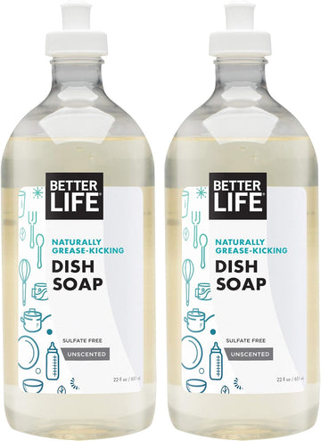 Better Life Dish Soap - Liquid Dishwashing Soap With Vitamin E And Aloe For Home & Kitchen Sink - No Gloves Required Kitchen Soap For Sensitive Skin - 22Oz (Pack Of 2) Unscented