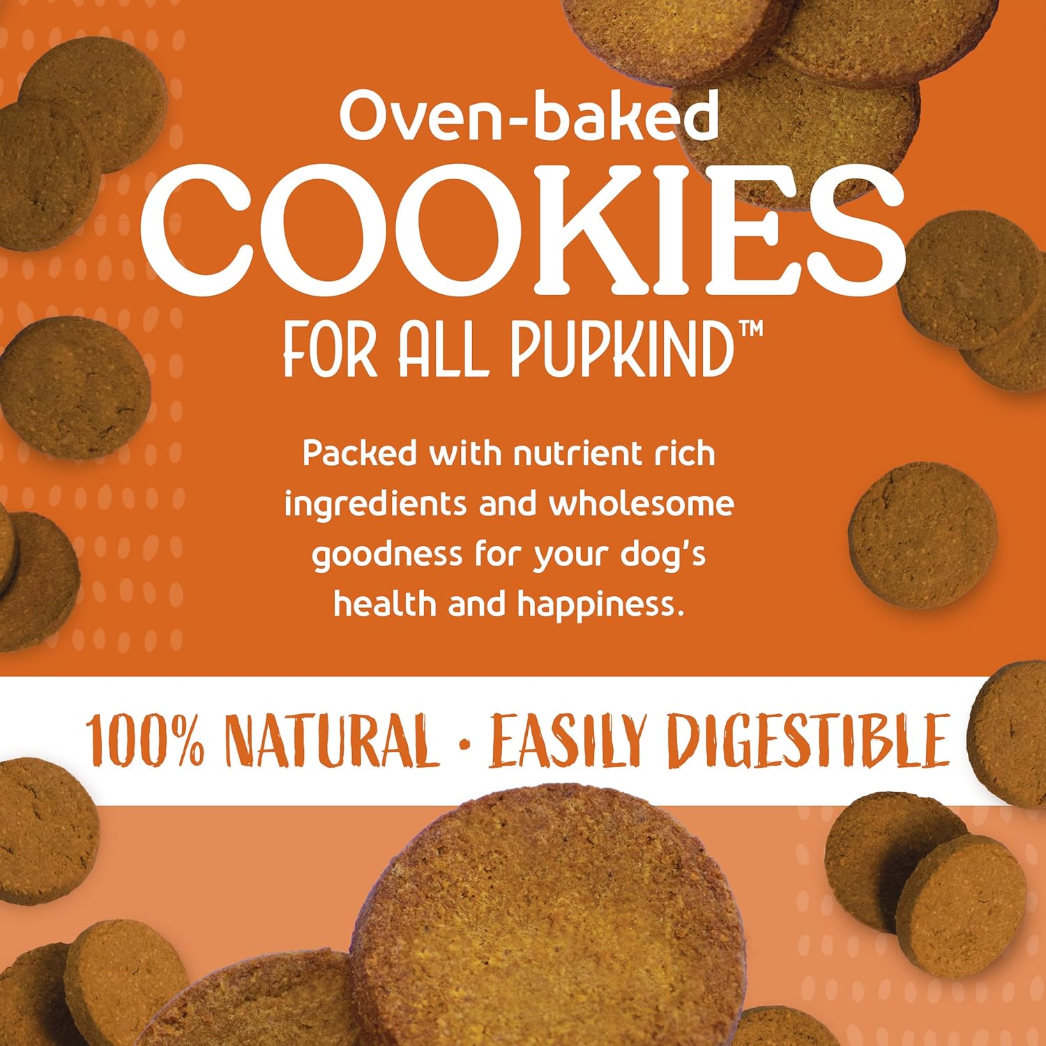 Carrot Cake Cookies|Lactose Free - Soy Free - Gluten Free - Wheat Free | USA Made | for All Breeds | 14 oz of All Natural, Baked, Crunchy Goodness