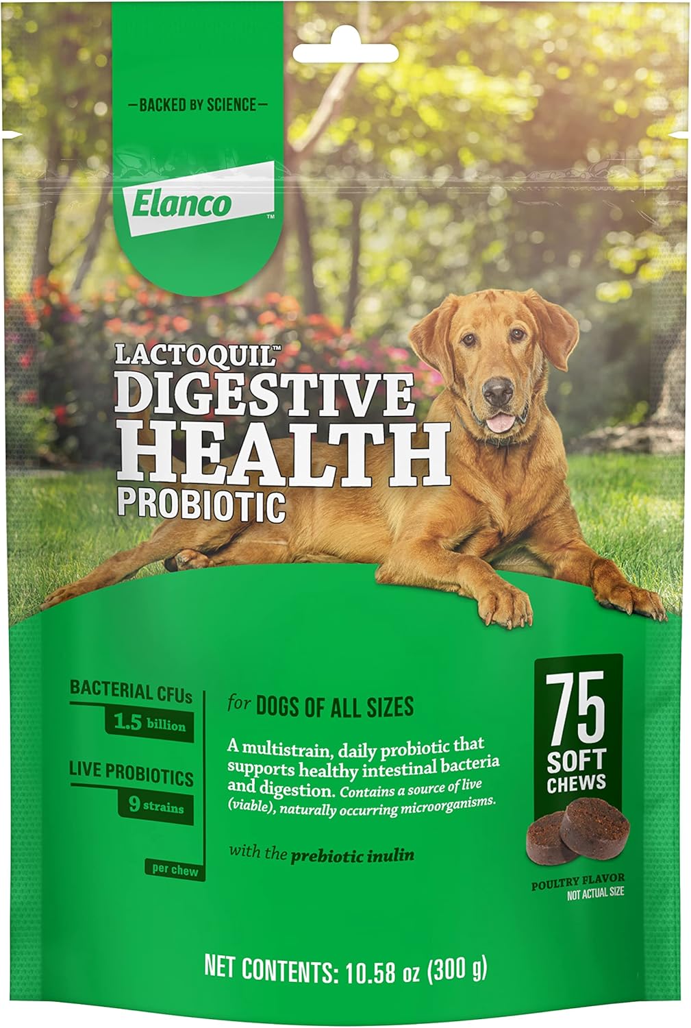 Elanco Lactoquil Soft Chews Digestive Health Probiotic Supplement For Dogs, 75 Count