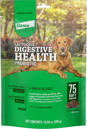 Elanco Lactoquil Soft Chews Digestive Health Probiotic Supplement For Dogs, 75 Count