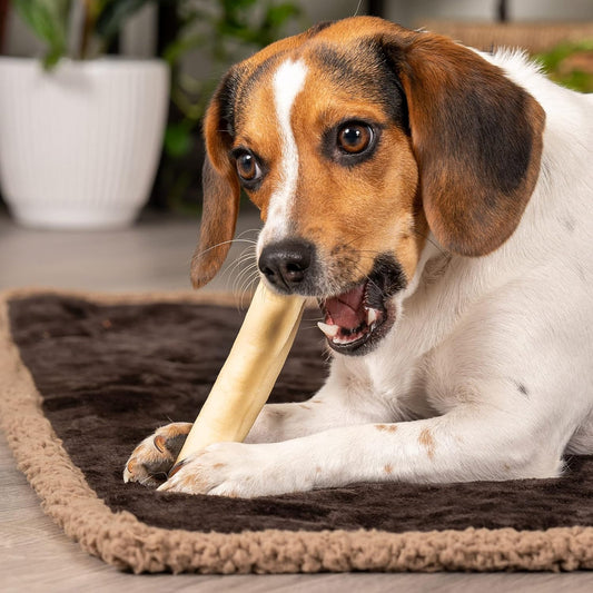Pet Factory American Beefhide 5" Chip Rolls Dog Chew Treats - Natural Flavor, 8 Count/1 Pack