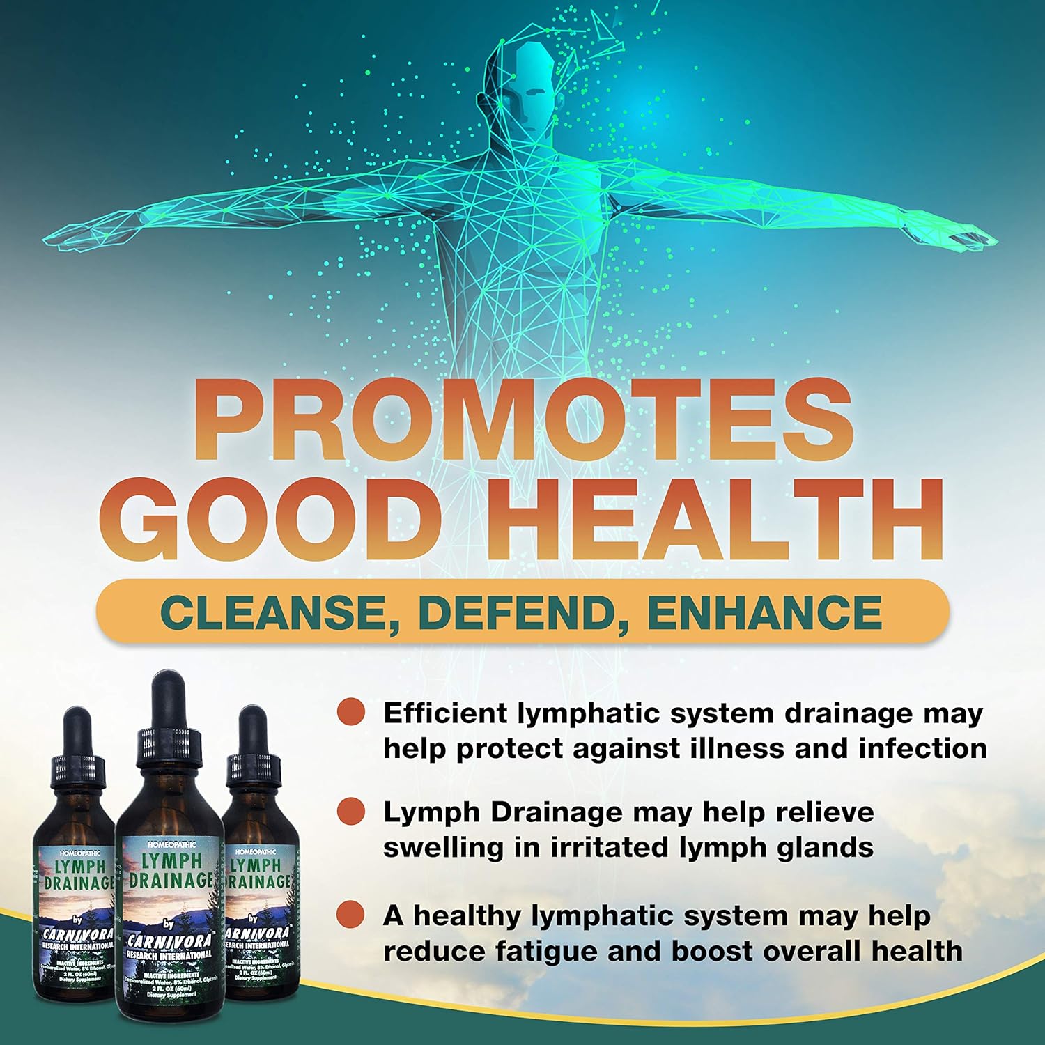 Carnivora - Lymph Drainage Drops - Stimulates and Cleanses Your Lympha