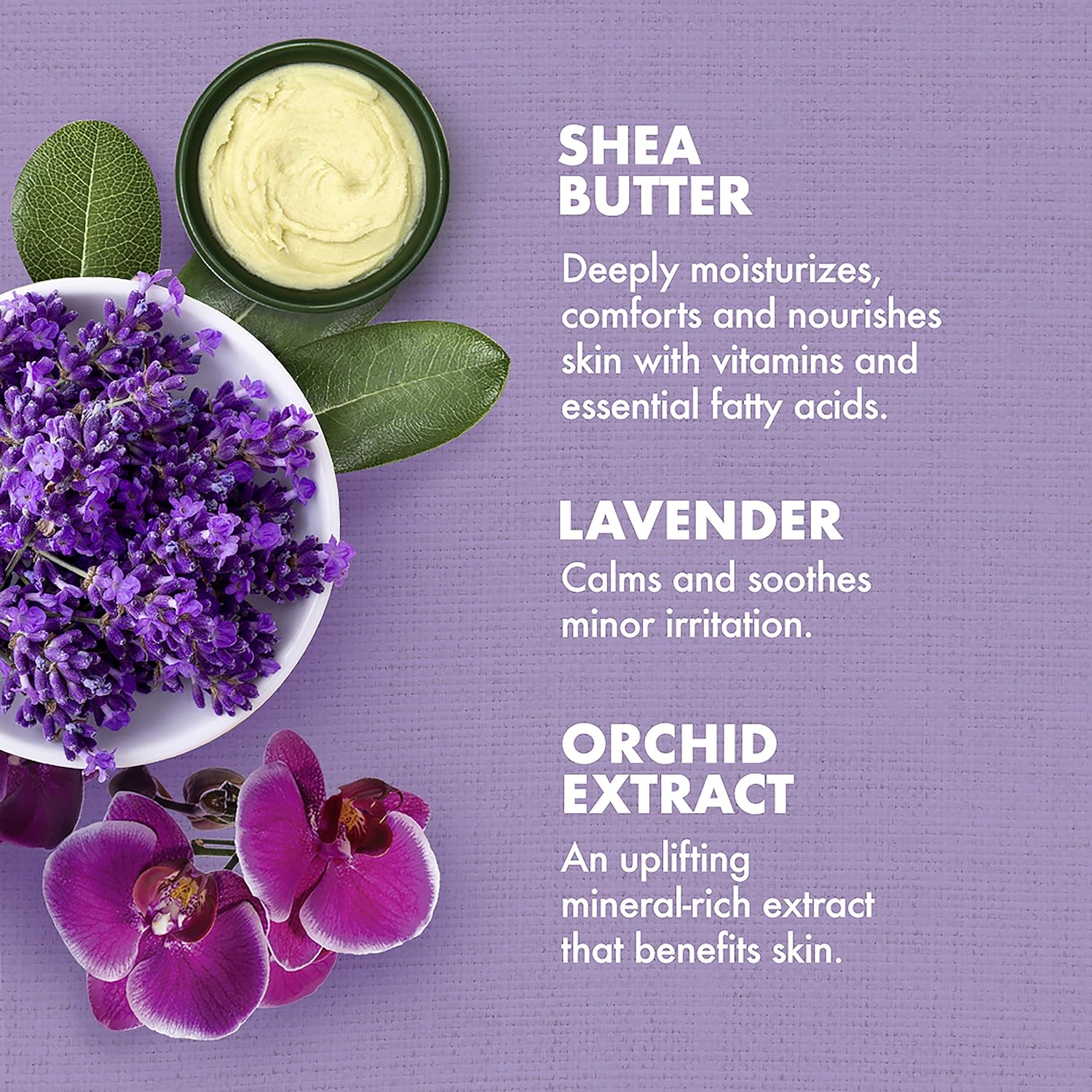 SheaMoisture Bath, Body and Massage Oil Lavender Wild Orchid Calming Moisturizer for Sensitive Skin 8 oz : Shea Moisture Lavender Wild Orchid : Beauty & Personal Care